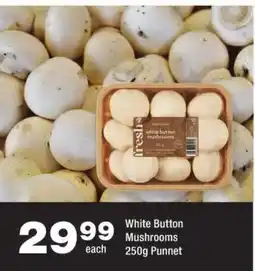 OK urban fresh white button mushrooms offer