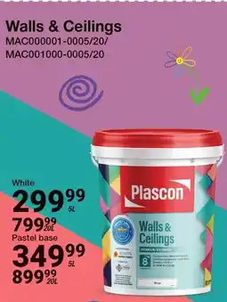 Mica Plascon Walls & Ceilings offer