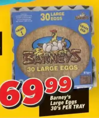 Barney's Large Eggs