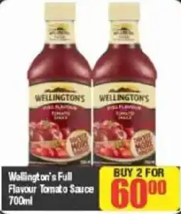 Big Save Wellington's Full Flavour Tomato Sauce offer