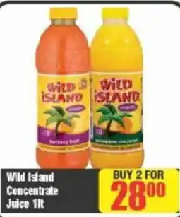 Big Save Wild Island Concentrate Juice offer