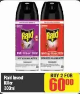 Big Save Raid Insect Killer offer