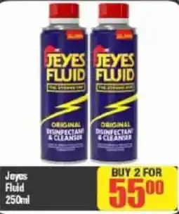 Big Save Jeyes Fluid offer