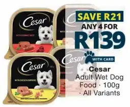 Checkers Cesar Adult Wet Dog Food offer