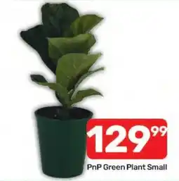 Pick n Pay Hypermarket PnP Green Plant Small offer