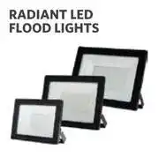 BUCO Radient LED Flood Light 10W 6500K 1347534 offer