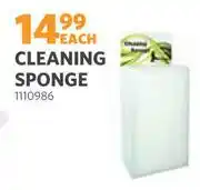 BUCO Cleaning Sponge 1110986 offer
