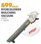BUCO Ryobi Blower Mulching Vacuum 1313107 offer