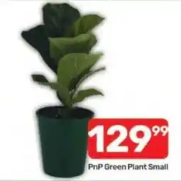 Pick n Pay PnP Green Plant Small offer