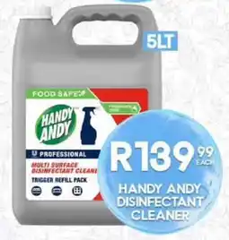 Take 'n Pay HANDY ANDY DISINFECTANT CLEANER offer