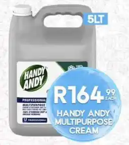 Take 'n Pay HANDY ANDY MULTIPURPOSE CREAM offer