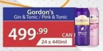 Big Save Liquor Gordon's Gin & Tonic/ Pink & Tonic offer