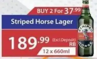 Big Save Liquor Striped Horse Lager offer