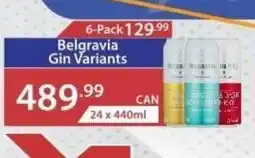 Big Save Liquor Belgravia Gin Variants offer
