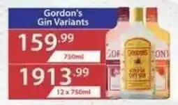 Big Save Liquor Gordon's Gin Variants offer
