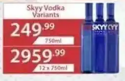 Big Save Liquor Skyy Vodka Variants offer