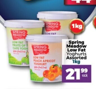 Take 'n Pay Spring Meadow Low Fat Yoghurts Assorted 1kg offer