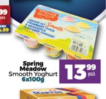 Take 'n Pay Spring Meadow Smooth Yoghurt 6x100g offer