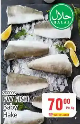KitKat Cash and Carry FW FISH Baby Hake offer