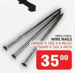 KitKat Cash and Carry WIRE NAILS offer