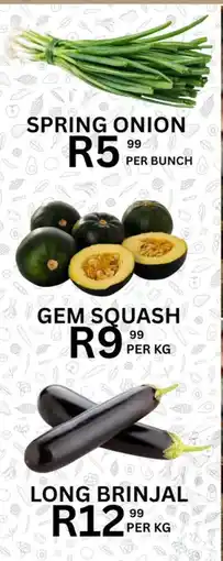 Take 'n Pay Spring Onion offer
