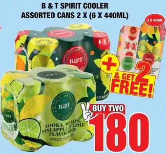 B & T Spirit Cooler Assorted