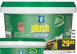 J&E Cash and Carry Plush Pine Gel offer