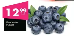 Save Hyper Blueberries Punnet offer