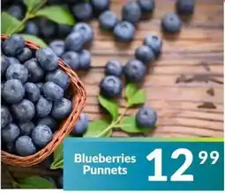 Super Save Blueberries Punnets offer