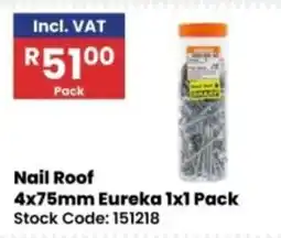Africa Cash and Carry Nail Roof 4x75mm Eureka offer