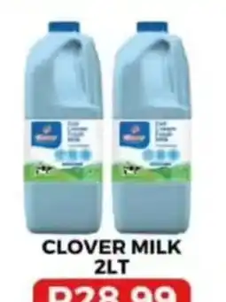 Saverite Clover Milk offer