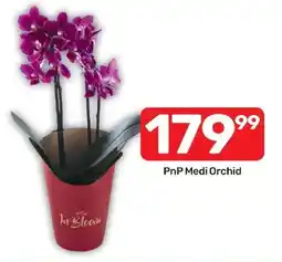 Pick n Pay Hypermarket PnP Medi Orchid offer