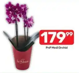 Pick n Pay PnP Medi Orchid offer