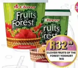 Take 'n Pay Clover Fruits of the Forest Yoghurt offer