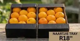 Take 'n Pay Naartjie Tray offer