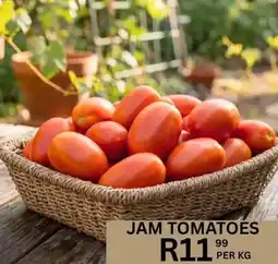 Take 'n Pay Jam Tomatoes offer