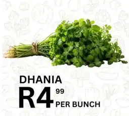Take 'n Pay Dhania offer