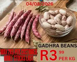 Take 'n Pay Gadhra Beans offer
