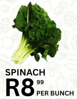 Take 'n Pay Spinach offer