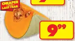 Shoprite Blue Pumpkin offer
