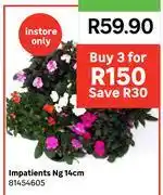 Leroy Merlin Impatients Ng 14cm 81454605-Each offer