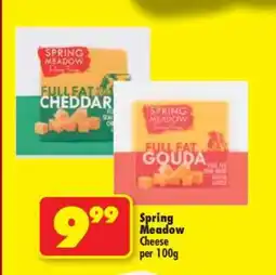 Shoprite Spring Meadow Cheese offer