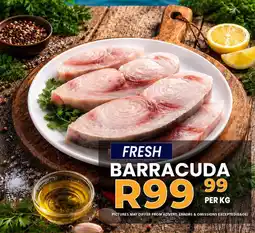 Take 'n Pay Fresh Barracuda offer