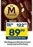 Pick n Pay Magnum - mini ice cream offer