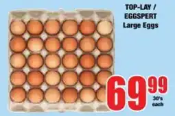Boxer TOP-LAY / EGGSPEERT Large Eggs offer