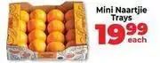 Mini - naartjie trays