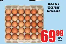 Boxer TOP-LAY / EGGSpert Large Eggs offer