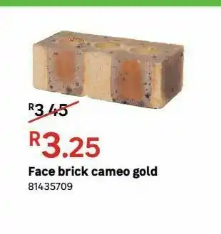 Face bricks cameo gold