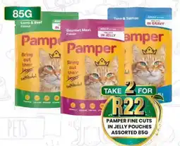 Take 'n Pay Pamper fine cuts in jelly pouches assorted offer