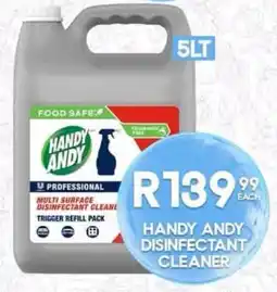 Take 'n Pay Handy Andy Disinfectant Cleaner offer